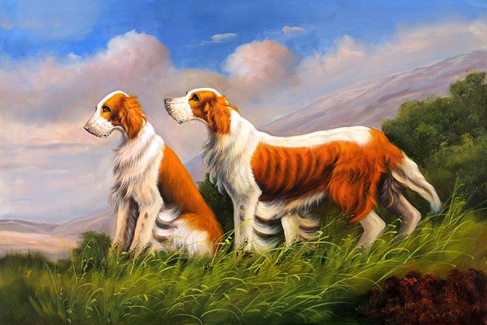 Irish Setters