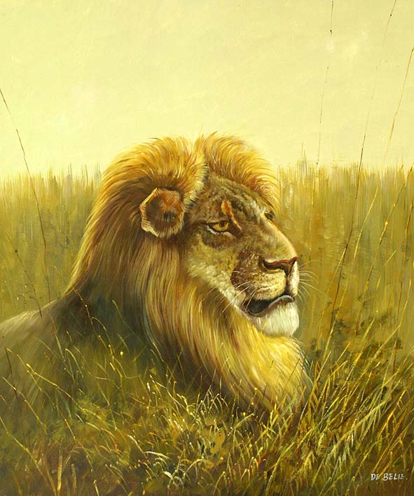 Lion Portrait