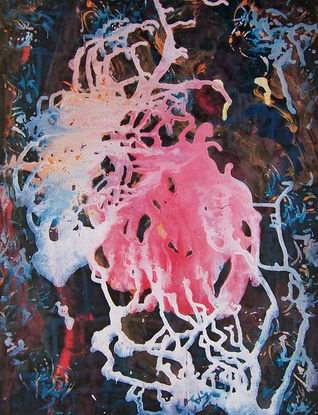 snow and something else