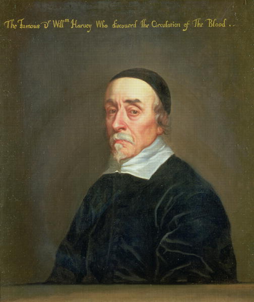 Portrait of William Harvey