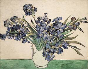 Irises 1890