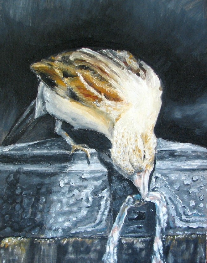 oil painting
