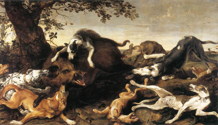 prey on wild boar