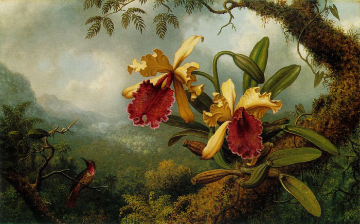 Heade Oil Painting Reproductions- Orchids and Hummingbird