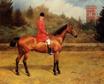 Horse And Rider