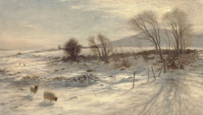 When snow the pasture sheets