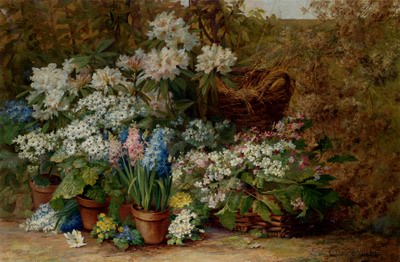 Still Life With potted plants in a nursery