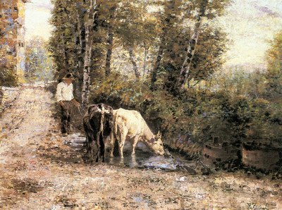 Cows Watering At A Quiet Pool