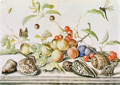 Still life(watercolour and pencil