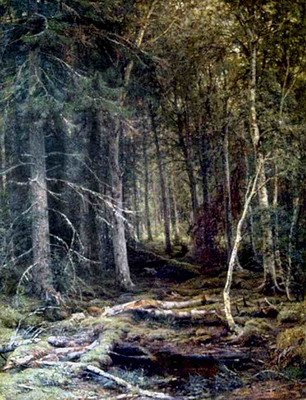 The forest horizons
