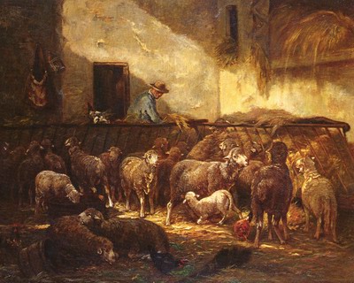 A flock of sheep in a barn