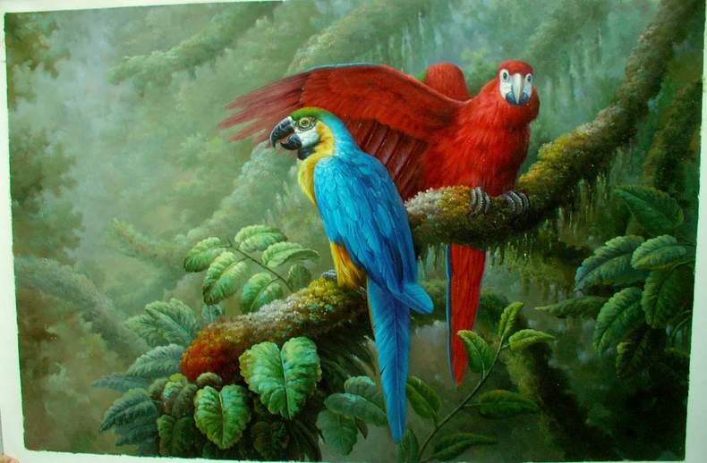 Animal oil paintings animal wholesale oil paintings ect Animal painting