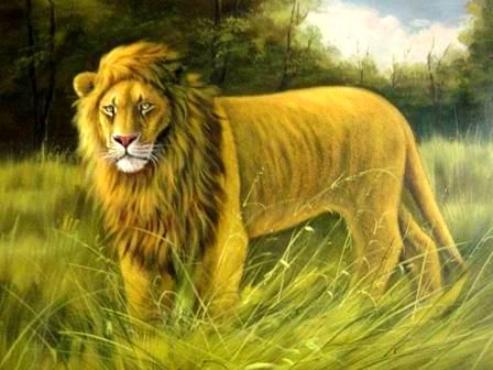 Wholesale Oil Painting oil paintings gallery Animal painting