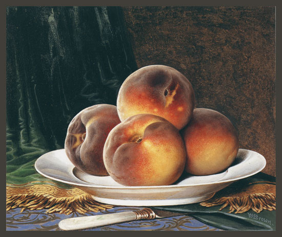 Peaches on a White Plate