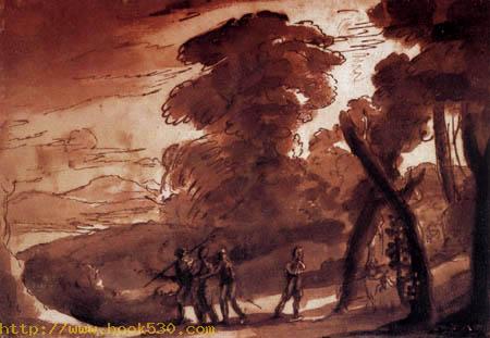 Forest landscape