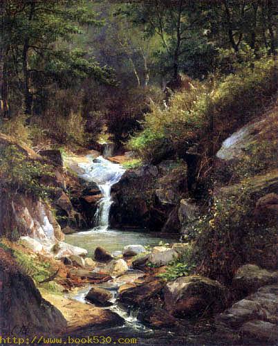 Forest landscape with mountain stream