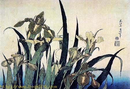 Iris and Cicada