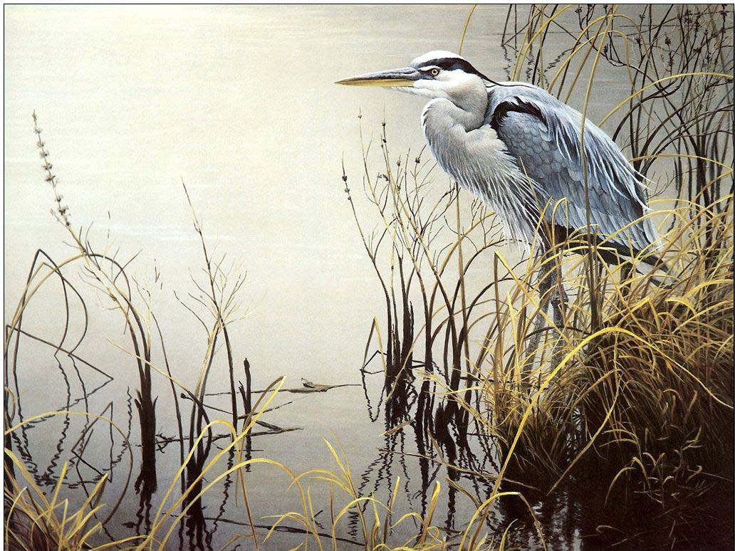 Animal oil painting