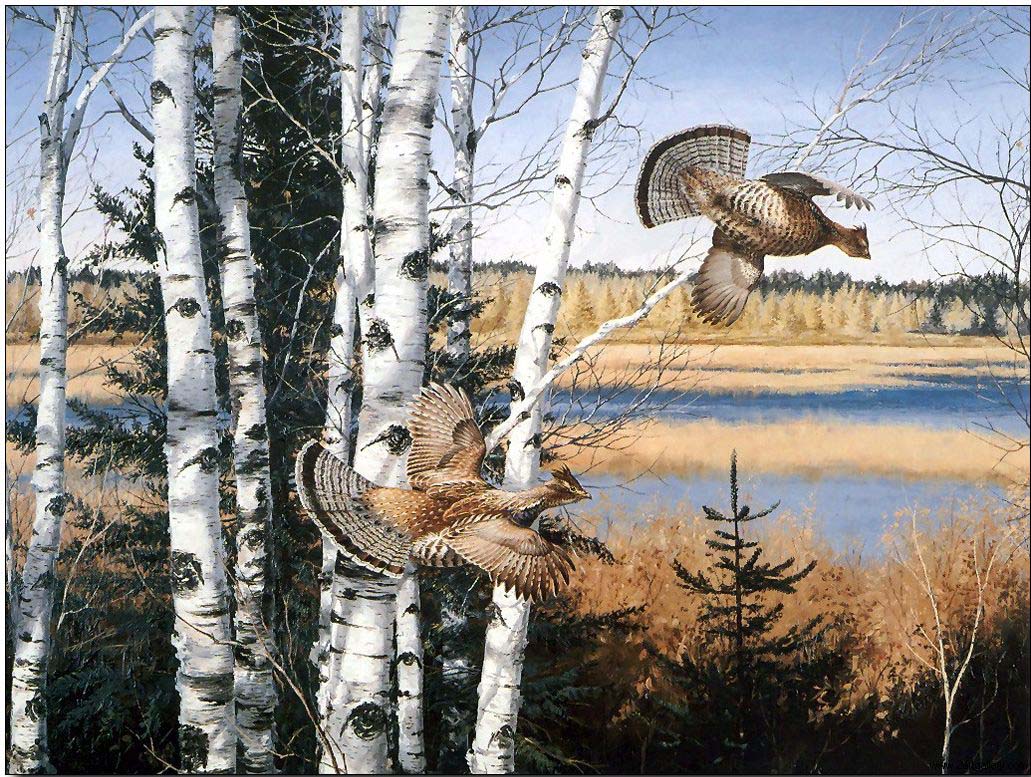 Animal oil painting