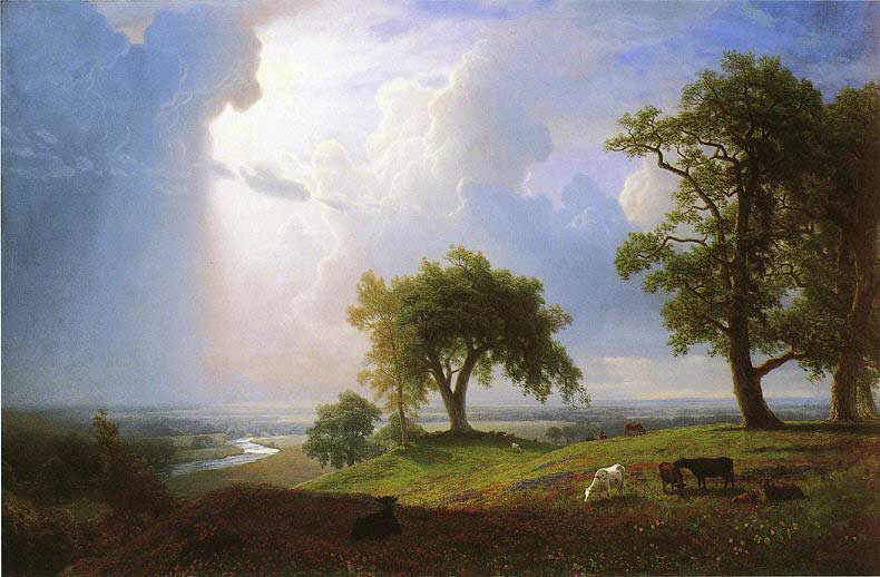 Landscape oil painting