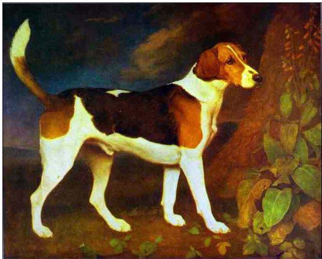 Animal oil painting