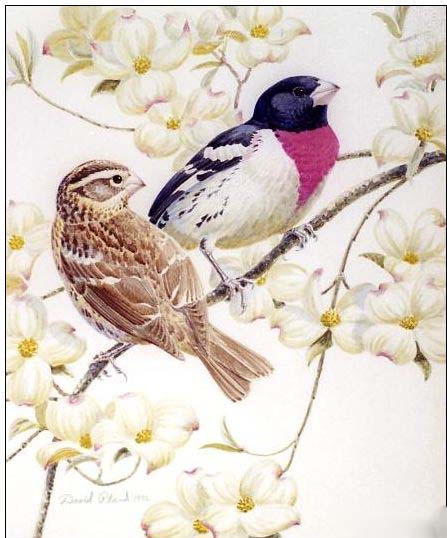 Animal oil painting