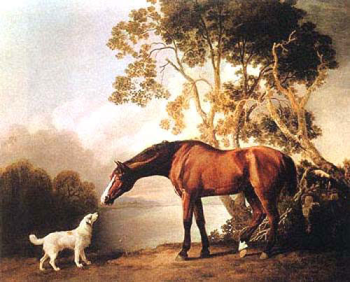 Animal oil painting