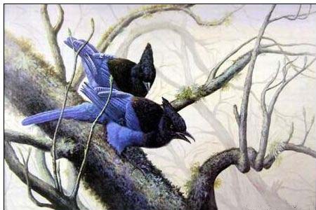 Animal oil painting