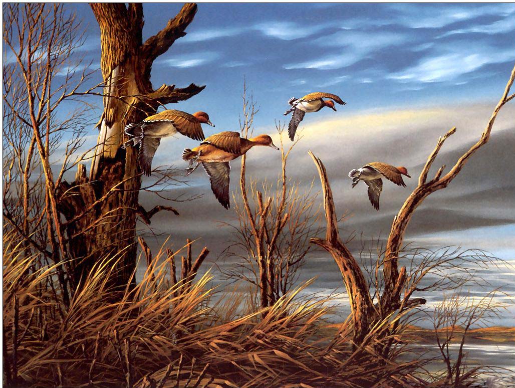 Animal oil painting