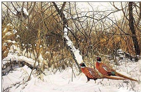 Animal oil painting
