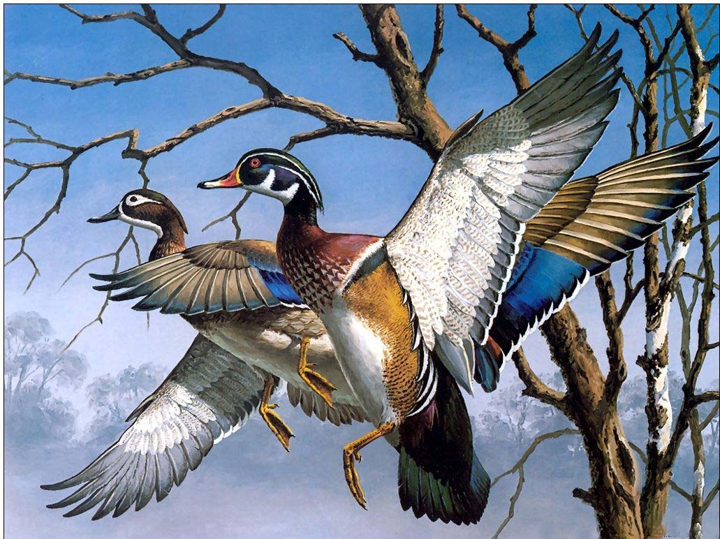 Animal oil painting