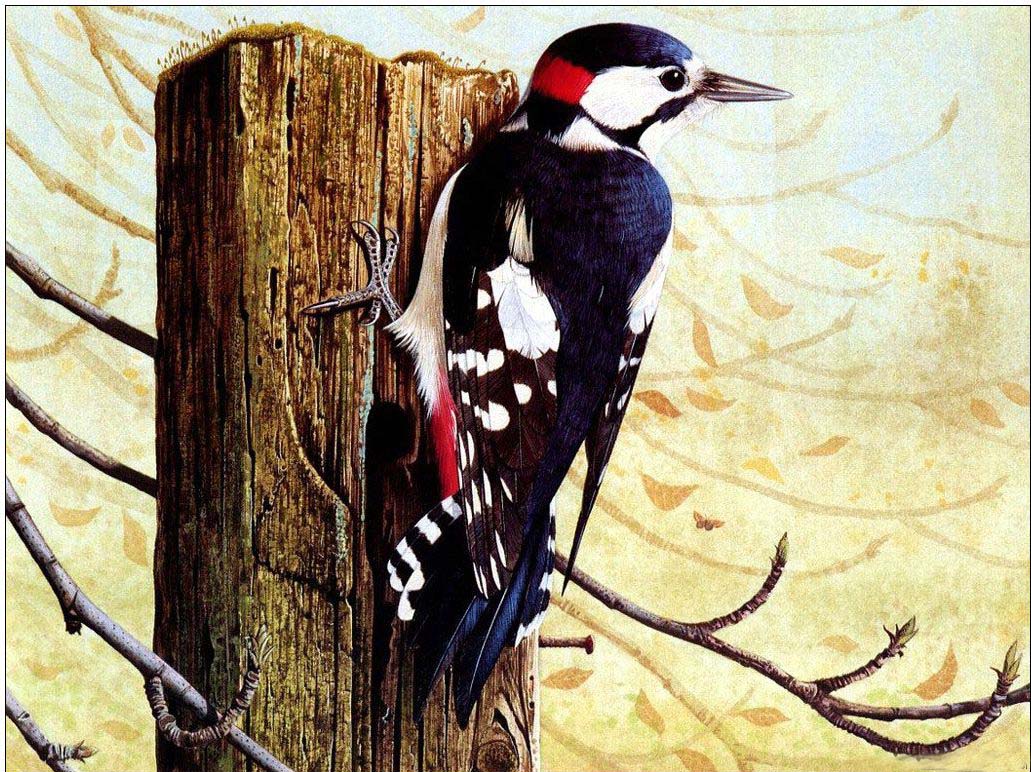 Animal oil painting