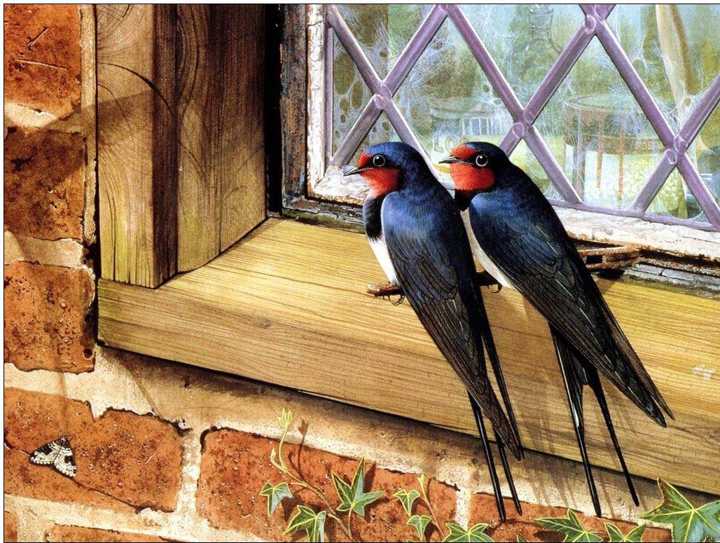 Animal oil painting
