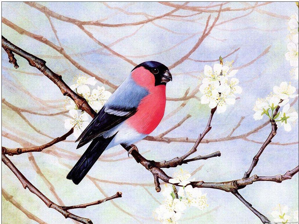 Animal oil painting