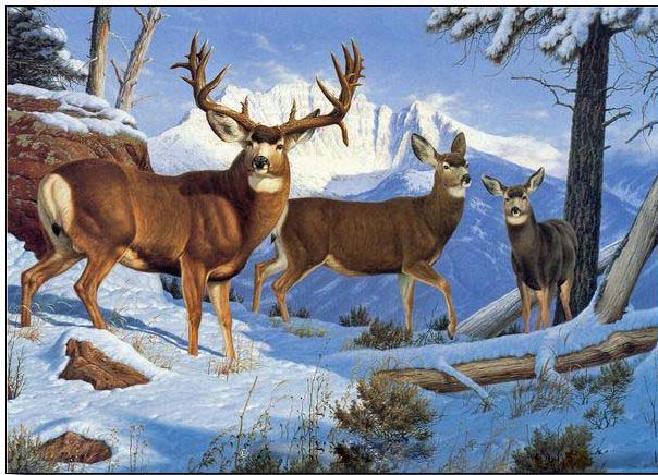 Animal oil painting