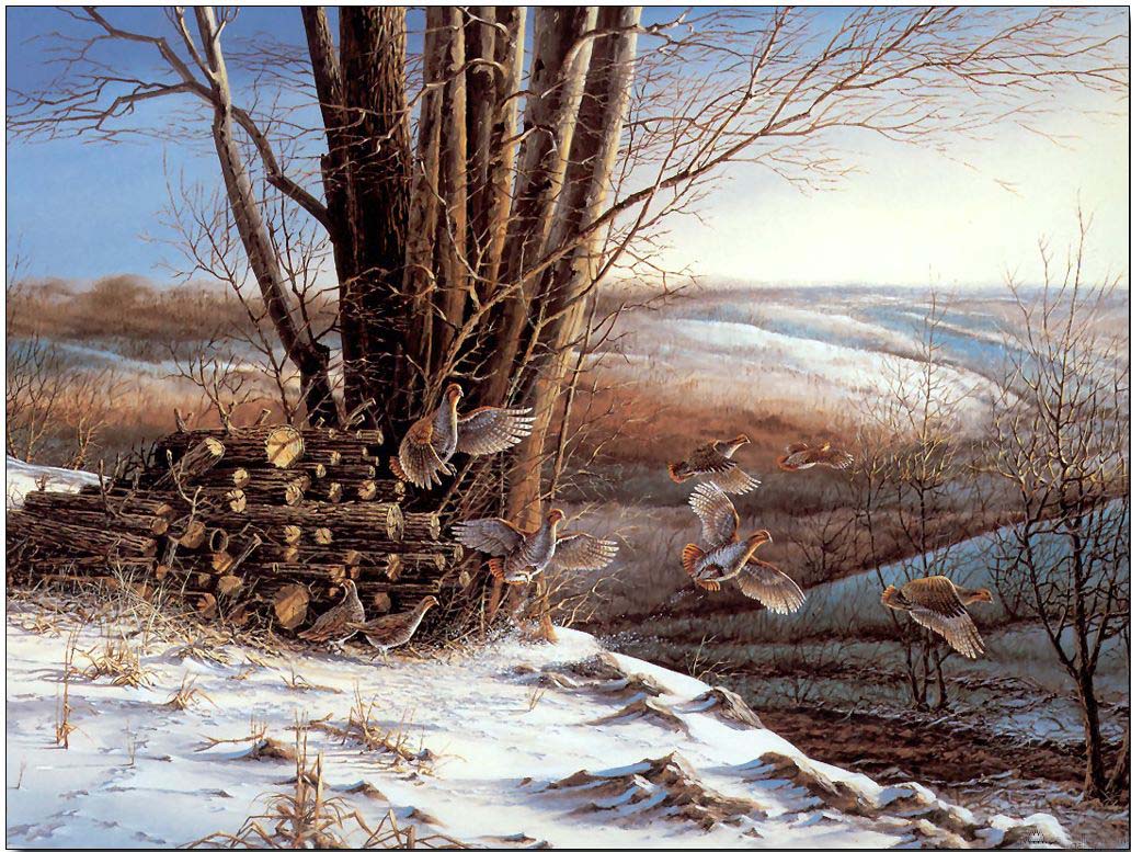 Animal oil painting