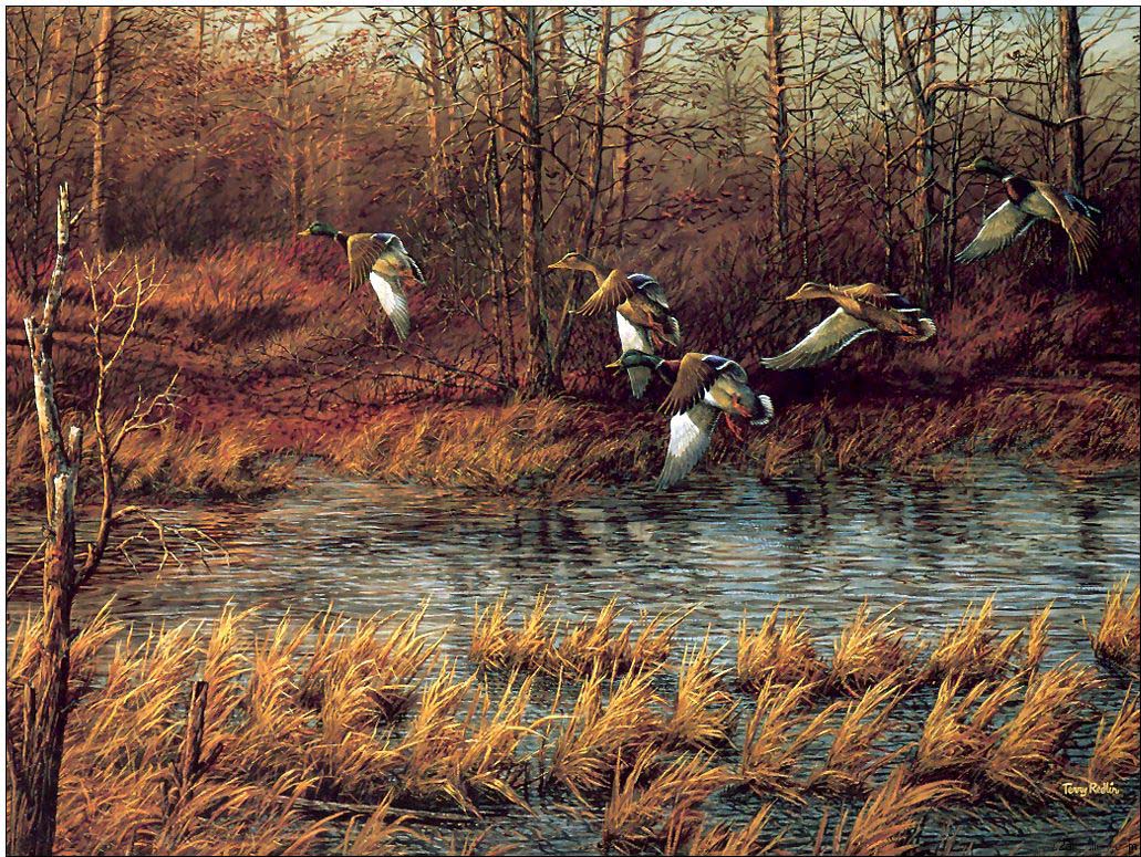 Animal oil painting