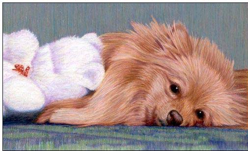 Animal oil painting