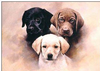 Animal oil painting