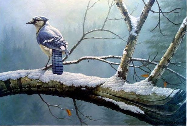 Animal oil painting