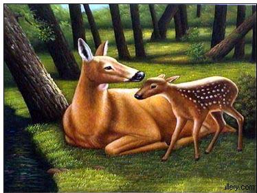 Animal oil painting