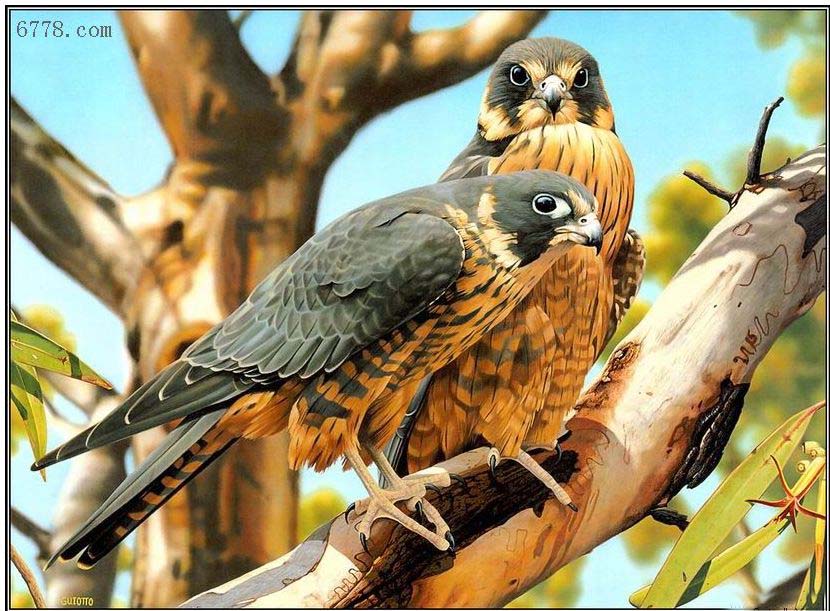 Animal oil painting