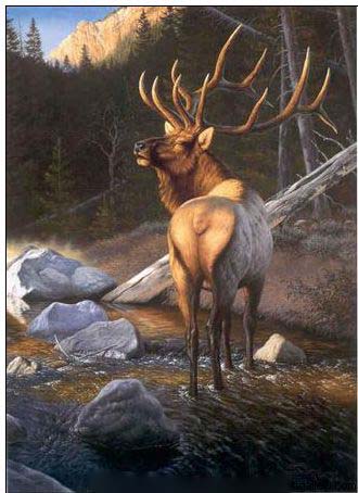 Animal oil painting