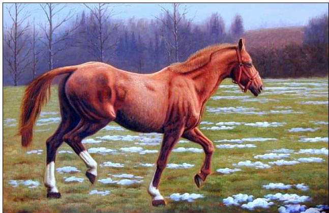 Animal oil painting