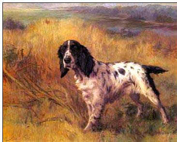 Animal oil painting