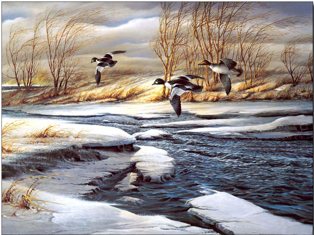 Animal oil painting