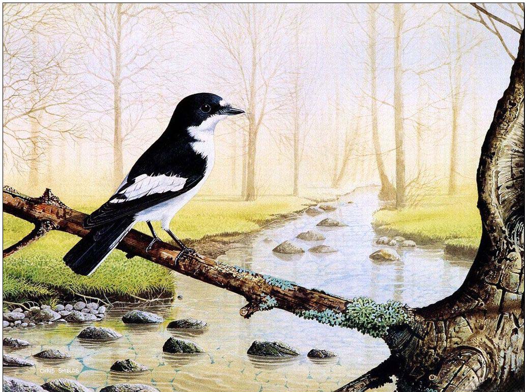 Animal oil painting