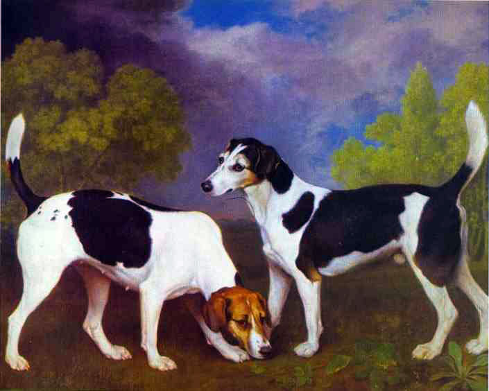 Animal oil painting
