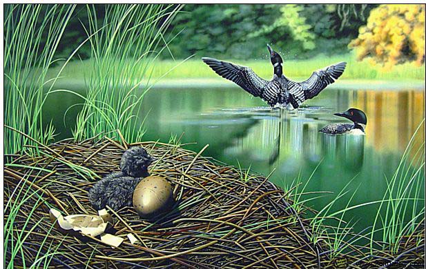 Animal oil painting