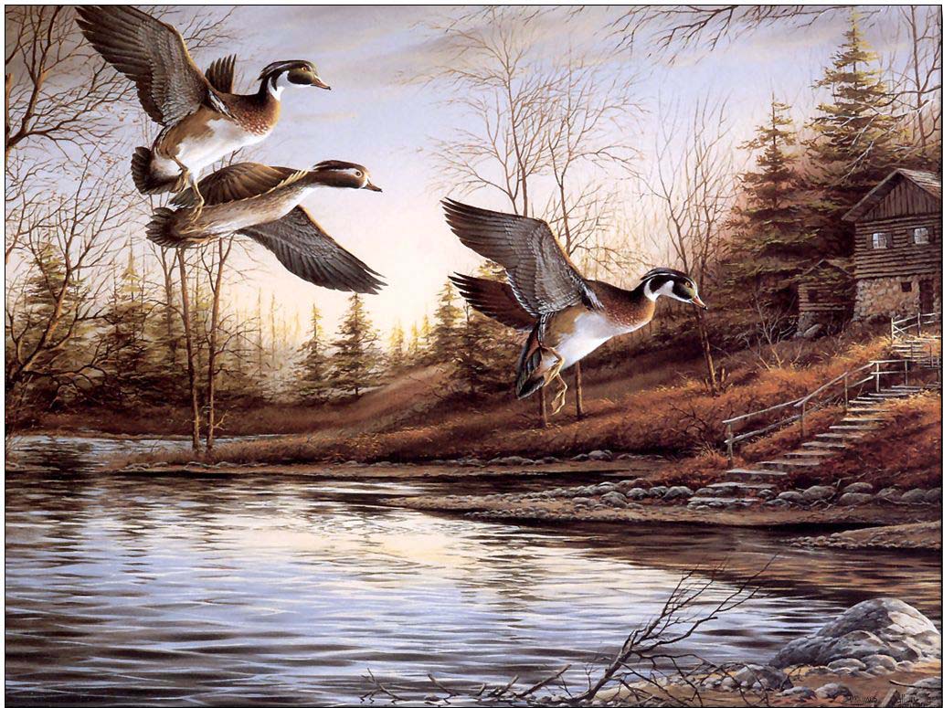 Animal oil painting